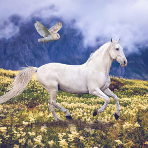 "Whispers of Wild Grace" – Desktop Background Download